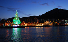 海から見た赤レンガ倉庫とクリスマスツリーのライトアップ