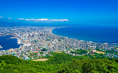 函館山から見下ろした函館市街地