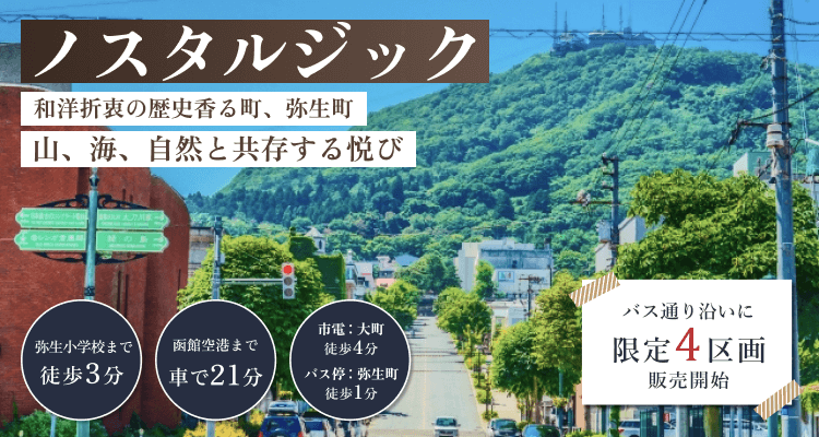 ���َs�퐶���̕����n ����4���̔��J�n�b�m�X�^���W�b�N �a�m�ܒ��̗��j���钬�A�R�E�C�E���R�Ƌ�������x�сb�A�N�Z�X�F�퐶���w�Z�k��3���A�s�d�u�咬�v�k��4���A���كo�X�u�퐶���v�k��1���A���ً�`�Ԃ�21��